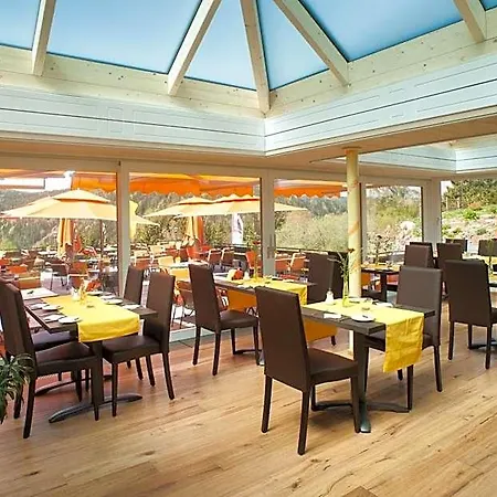 Albtalblick Ihr Wellness- & Wanderhotel Hotel